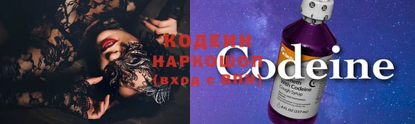 прущие грибы Балахна