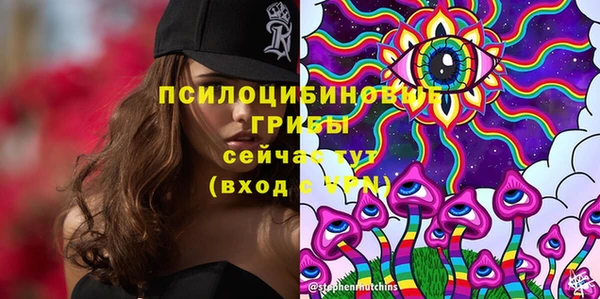 дмт Баксан