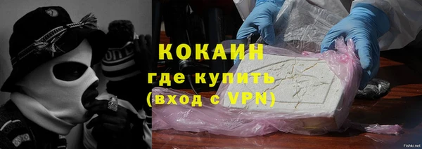 прущие грибы Балахна