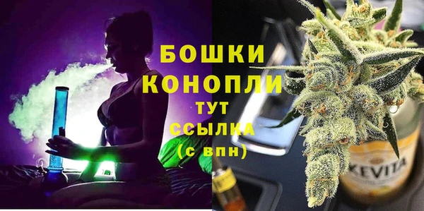 прущие грибы Балахна