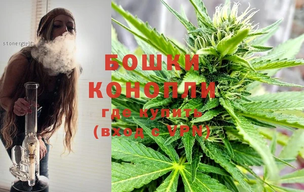 винт Аркадак