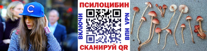 Псилоцибиновые грибы Magic Shrooms  Ступино 